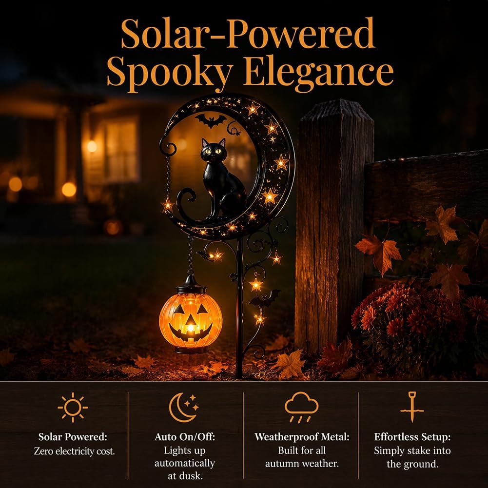 Solar Halloween Black Cat & Pu - Outdoor Lighting Halloween review and price